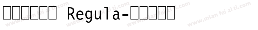 ●大润发粗圆 Regula字体转换